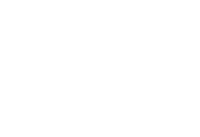logo-puelche